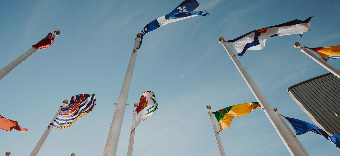 A group of raised international flags